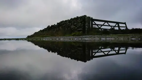 David Cockell (@dpcockell81) Gate reflected in a pool of water