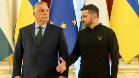 Maxym Marusenko/NurPhoto via Getty Images Hungarian Prime Minister Viktor Orban and Ukrainian President Volodymyr Zelenskiy shake hands before their meeting in Kyiv, Ukraine, on July 2, 2024.