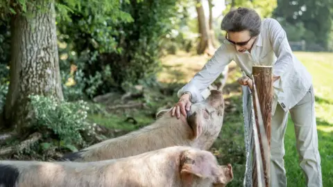 Country Life, PA Media Princess Anne tends to pigs on her estate