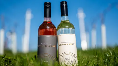 Two bottles of wine are standing in green grass. The left bottle is a rosé wine with a black cap. The liquid is a pinkish red and the grey label says "Harper Adams University Buttery Hill Rosé." The wine on the left is white, slightly yellowish in colour and also has a black cap. The grey label says "Harper Adams University Cambrian White".