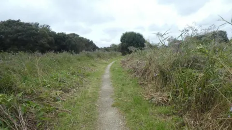David Smith / Geograph A cut path through an area of long grass and reeds.