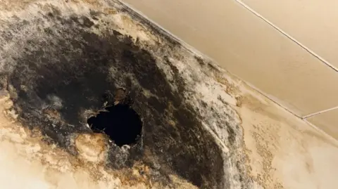 Shania Brannigan A very large patch of black mould with a large hole in the middle on the ceiling.