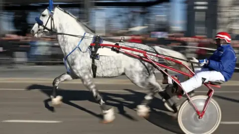 Getty Images A white and grey dappled pony travelling fast pulling a red carriage with a rider wearing a helmet.