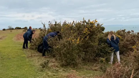 A group of people looking into a bush on the side of the cliff path with grey skies behind.