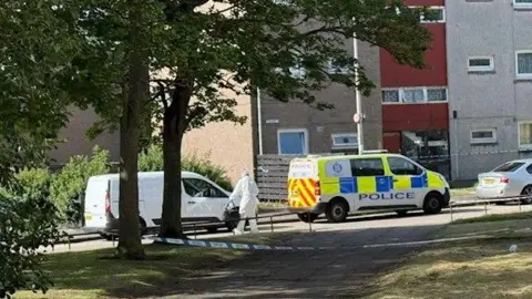 A blue and yellow checked police van is parked outside a tennement block. A man is a white forensic suit is standing in the street close to trees and a grassy area. A white van and a silver car are also parked on the street.