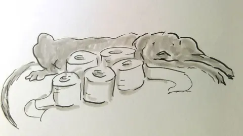Angie Stevens/ Wales News Service Dog with toilet roll