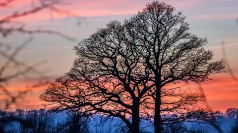 Anthony P Morris Sunset