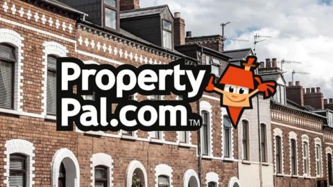 Graphic of PropertyPal logo imposed on a background image of a row of terrace houses