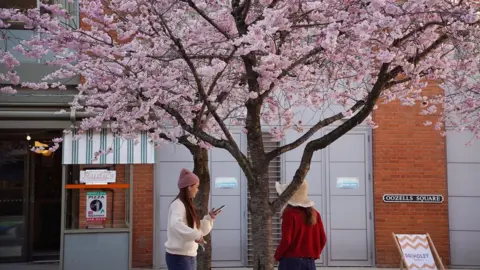 Two young women taking photographs under a cherry blossom tree. The woman on the left is wearing a white jumper and pink beanie hat. Her friend is wearing a wide-rimmed white sun hat and a red cardigan