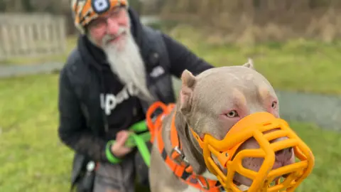 An XL bully with cropped ears and light brown fur, wearing a bright orange muzzle and orange harness, looks towards the distance. Behind the dog, and slightly out of focus, is a man with a long grey beard wearing a black jacket who is holding the dog via a green lead