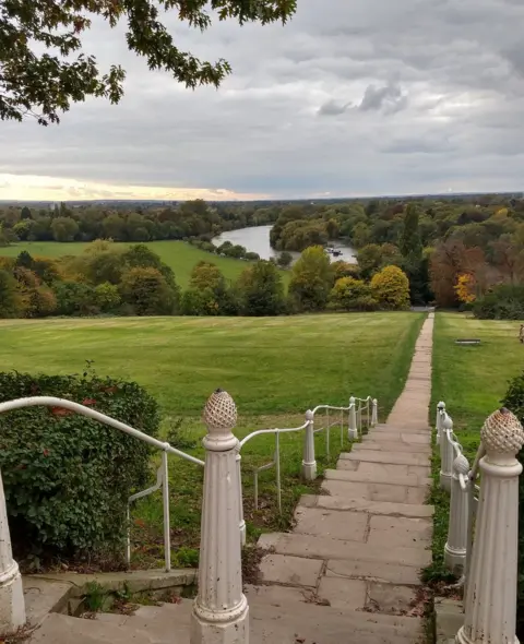 Carol Stratford A pathway through grass