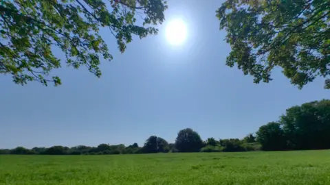 Weather Watchers/ Nadezna Blue sky and sun over a grass and trees 