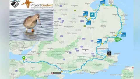 Project Godwit Funds for Waders map