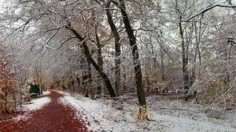 LAD/BBC Weather Watchers A red gravel path winds through a snow-covered wood