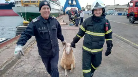 ISU Constanta Emergency crew involved in the operation tow a sheep