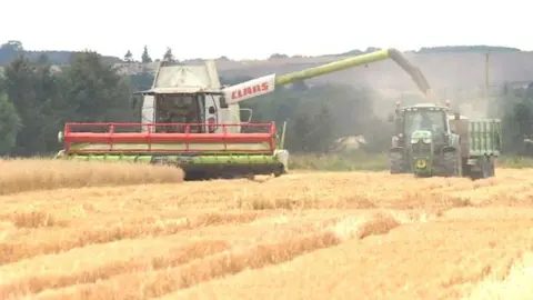 Harvesting at Andrew Moir's farm