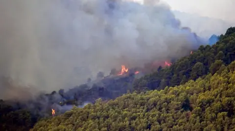 EPA/Shutterstock Orange fire and thick smoke is visible across thick forest on Spanish hills