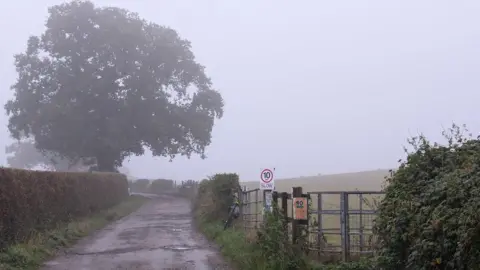 Lucie Johnson A country lane framed by a large field on one side and hedges on the other under overcast skies 