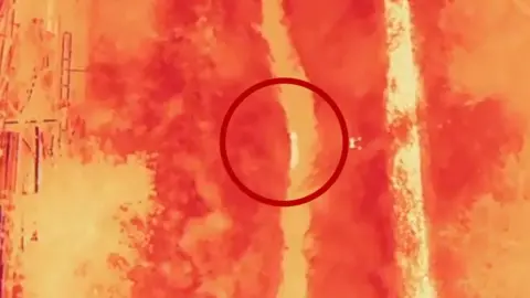A wolf in an aerial thermal camera shot is circled with a red graphic.
