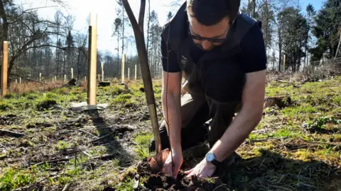 National Trust/Luci Scrocca A ranger plants a tree in the ground of a field. He places the tree into the ground and uses his hands to cover it with soil. Other already planted trees can be seen behind him.