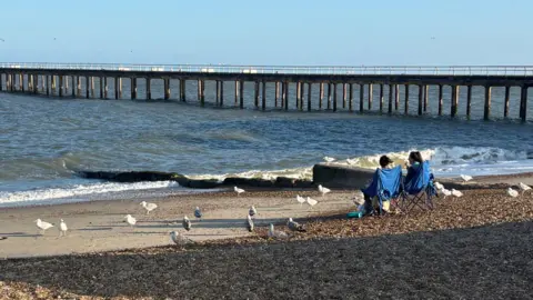 Jaimielee Rendall/BBC Seagulls on the beach at Felixstowe hovering near two people in deckchairs. The pier is in the background