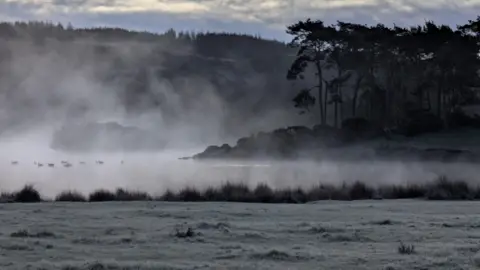 Shona Kirby A misty lakeside scene at dawn, with low fog drifting over the water and silhouetted trees rising along the shore.