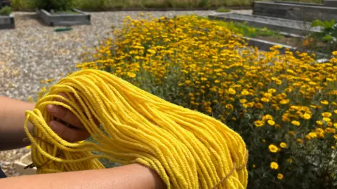 Yellow wool being held up in front of yellow flowers.