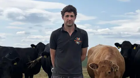 A person stands in the center of a grassy pasture surrounded by a herd of cattle, mostly black with one light brown cow near the front. The cattle are gathered closely around the person, some grazing and others facing the camera.