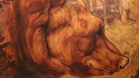 The National Trust A water colour painting shows a bear in a forest with leaves in front of it. The bear's fur is brown and the forest is sunlit with the tree trunks visible. The bear fills most of the painting and looks sleepy and gentle.