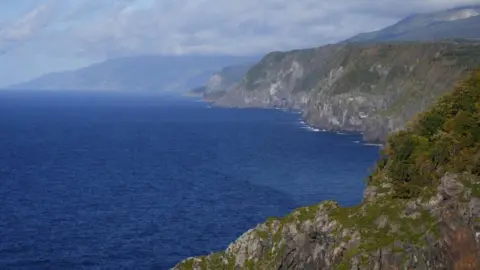 How a Japanese boat trip ended in tragedy