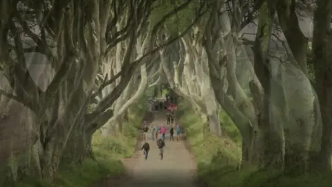 BBC Tourists at the Dark Hedges