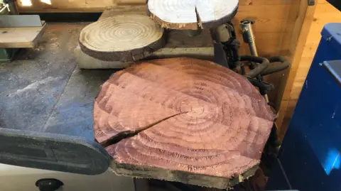 John Devine/BBC Three slices of tree trunk on a work bench