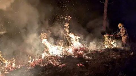 DWFRS Image of wildfires being put out by a firefighter using a beater.