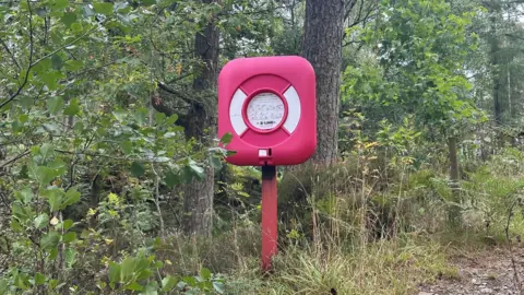A red case containing a buoyancy aid sits atop a red pole surrounded by trees.