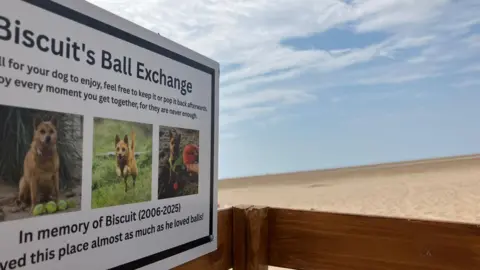 Sign reads: "take a ball for your dog to enjoy, feel free to keep it or pop it back afterwards". "Enjoy every moment together for they are never enough."
There are pictures of the dog, some with tennis balls.