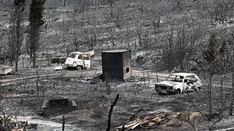 Getty Images Uma cena de devastação depois que um incêndio varreu uma área. Tudo está coberto de cinzas e toda a vegetação é uma concreta preta. No centro do tiro, dois carros queimados sentam -se.