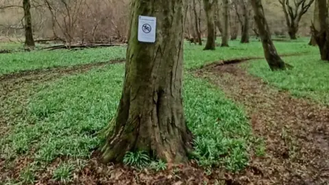 Herts and Middlesex Wildlife Trust  A sign on a tree at Astonbury Wood, near Stevenage, Hertfordshire