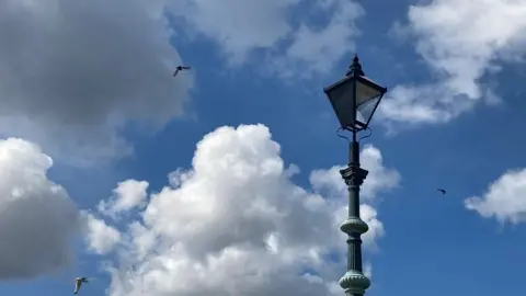 blanking planes fitted to street lamps on the bridge