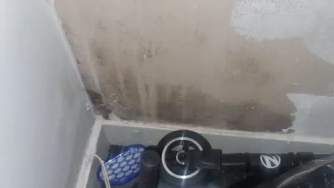 Nadine Richards Damp on a wall