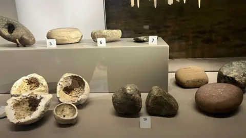 A series of smoothed down and shaped stone tools in a display cabinet. Also small, rough bowls. Numbers are places in front of a few of them so visitors can identify.