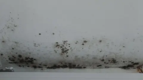 Mould on the walls