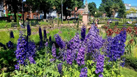 BBC Weather Watchers/Alison Guest A series of purple-flowered spikes in a public garden with a statue and the rest of the park behind, including trees.