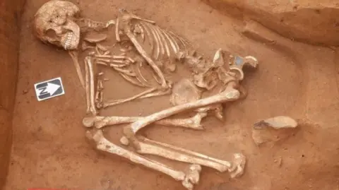 Swat Archaeology Bronze Age skeleton found in Kent in a crouched position lying on red-coloured rock