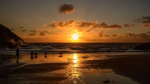 Sunset over a beach with a choppy sea and the silhouettes of a person and four dogs on the sand. There are patchy clouds in the sky and the setting orange sun is reflected on the wet sand.