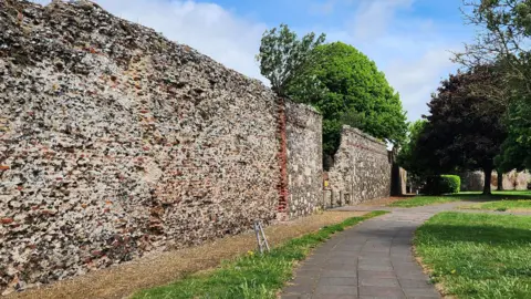 A medieval wall in Great Yarmouth. It is several metres high. A footpath curves through a grassy area in front of the stone wall. There are trees on either side of the wall.