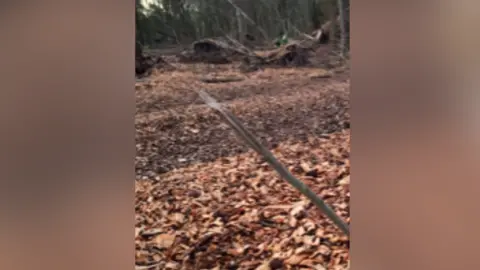 An object sticking out of the ground