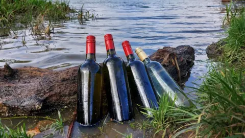 We Swim Wild wine bottles in water