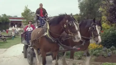 Two Shire horses pull a carriage full of children.