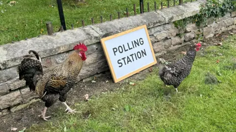 Keith Gunning Two chickens walking either side of a polling station sign.