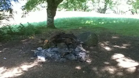 Fire damage at Llyn Geirionydd